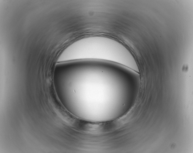X0000091850170200709050943