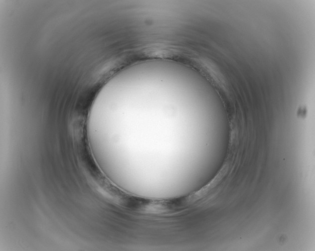 X0000091850171200709050943
