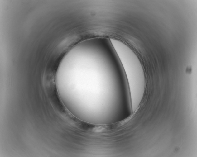 X0000091850172200709050943