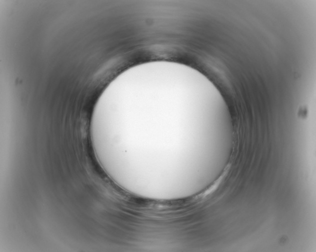 X0000091850174200709050943