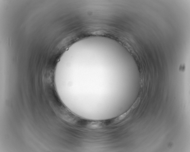 X0000091850175200709050943