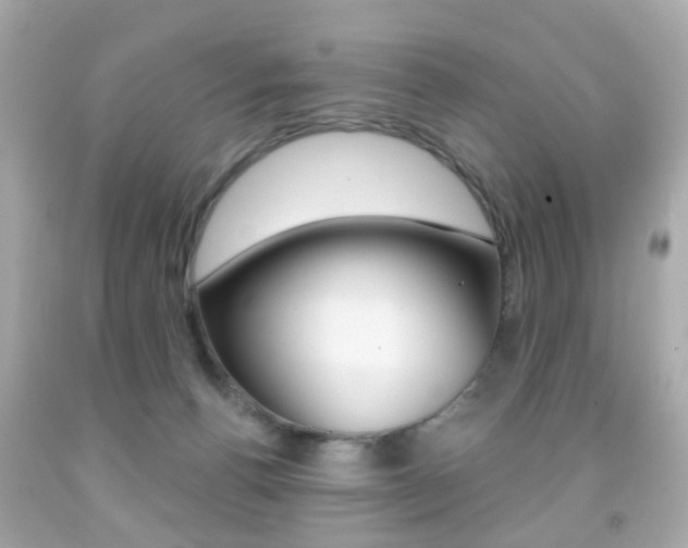 X0000091850176200709050943