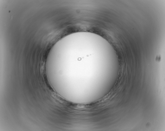 X0000091850177200709050943