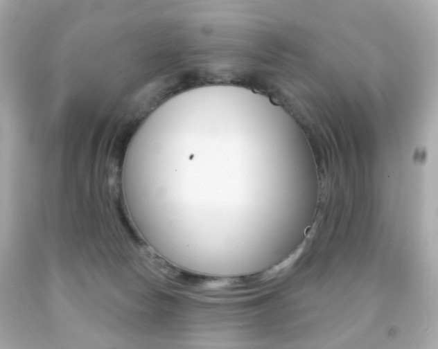 X0000091850178200709050943