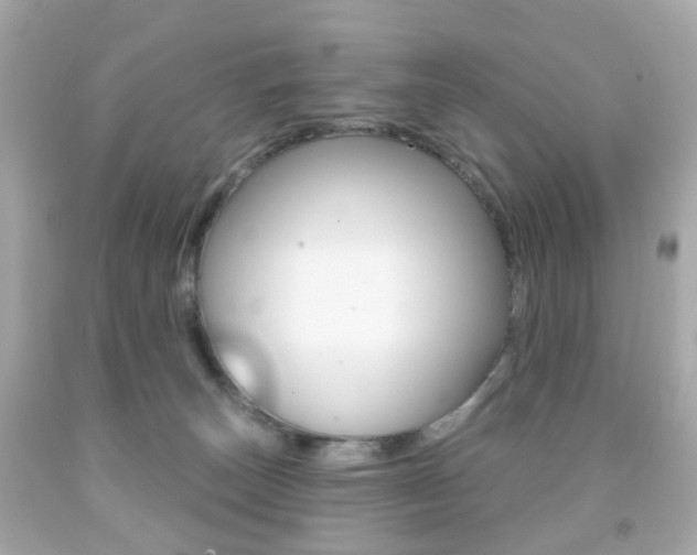 X0000091850179200709050943