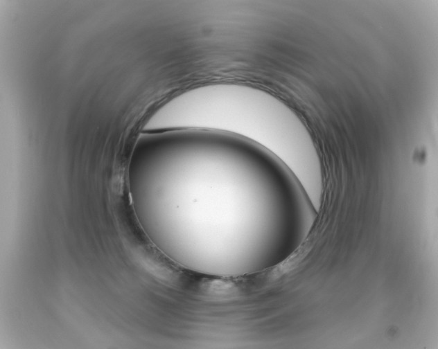 X0000091850180200709050943