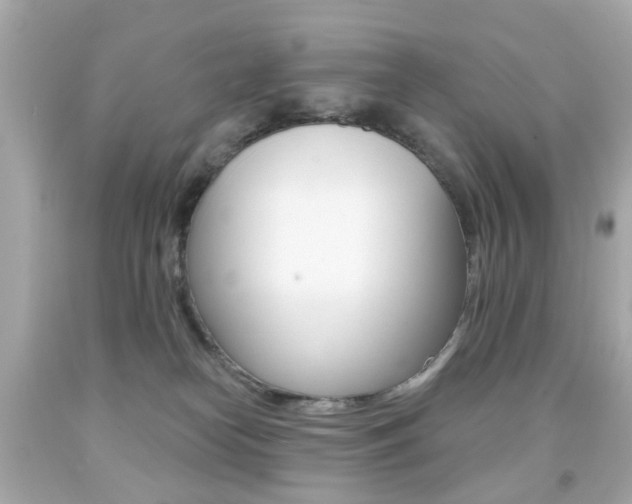 X0000091850182200709050943