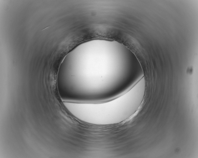 X0000091850186200709050943