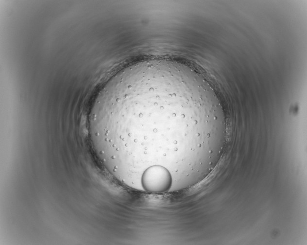 X0000091850187200709050943
