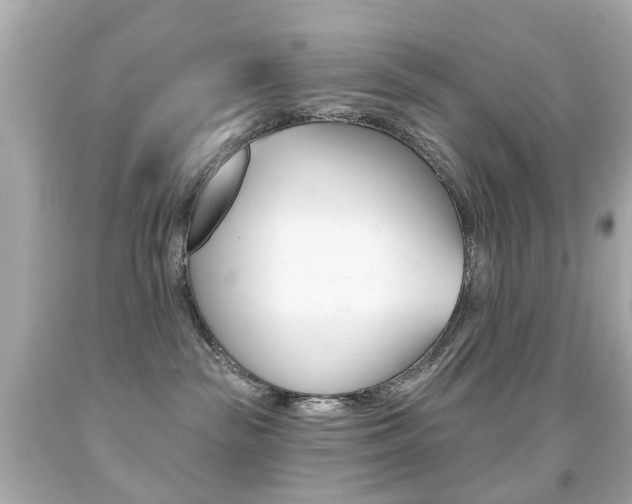 X0000091850189200709050943