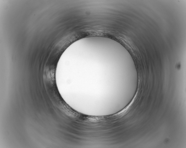 X0000091850190200709050943