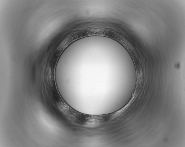 X0000091850191200709050943