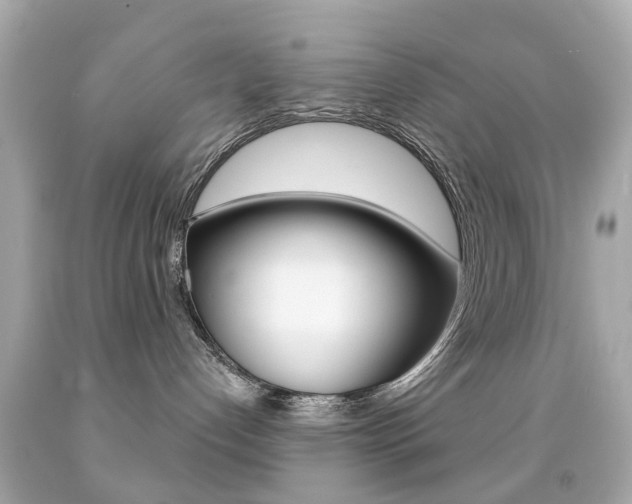 X0000091850192200709050943