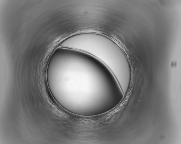 X0000091850193200709050942