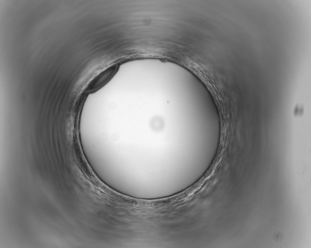 X0000091850194200709050942
