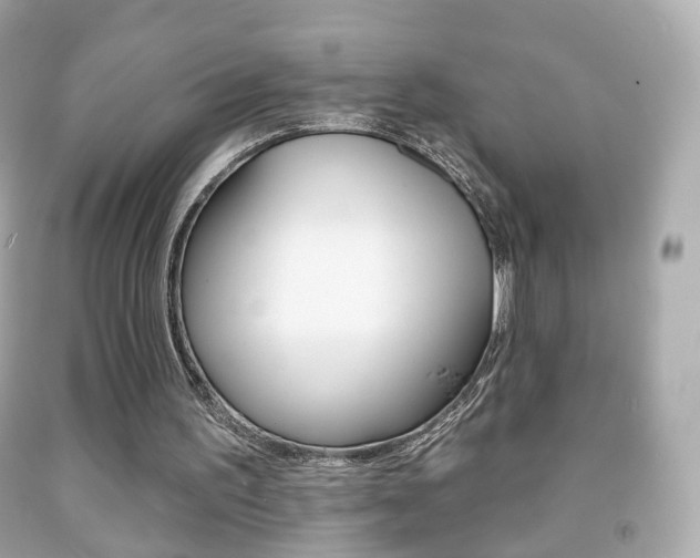 X0000091850195200709050942