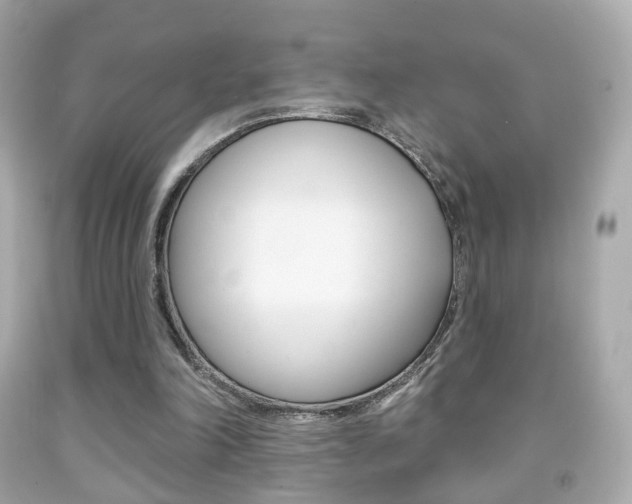 X0000091850198200709050942