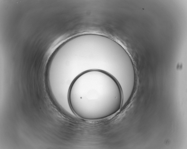 X0000091850199200709050942