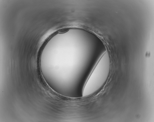 X0000091850200200709050942
