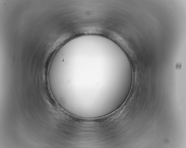X0000091850202200709050942