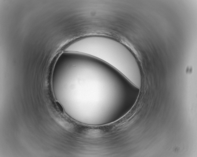 X0000091850203200709050942