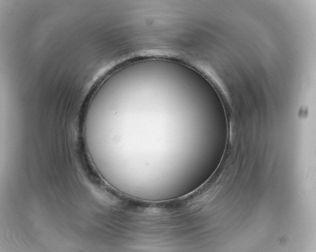 X0000091850204200709050942