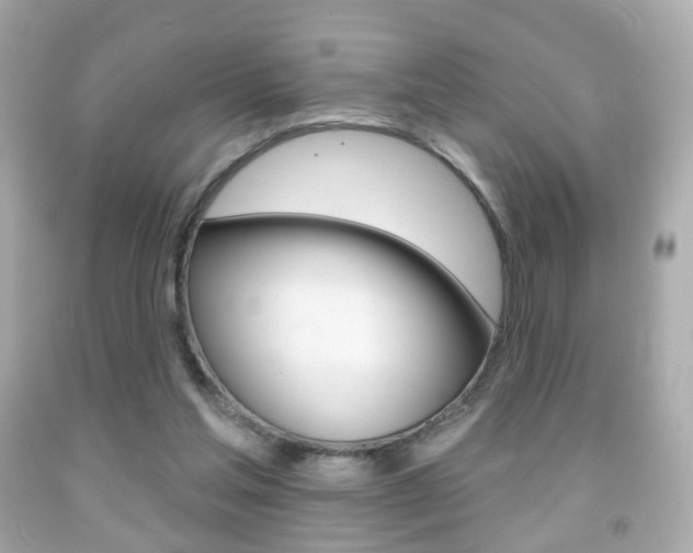 X0000091850205200709050942