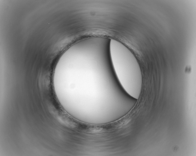X0000091850206200709050942
