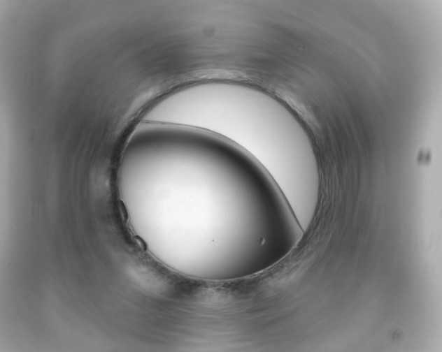 X0000091850207200709050942