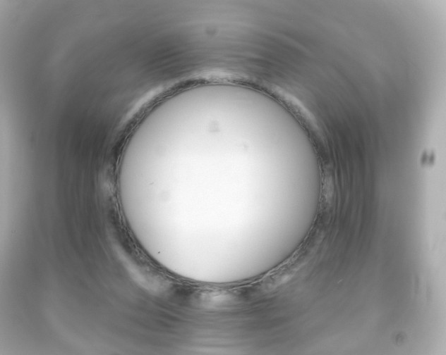 X0000091850208200709050942