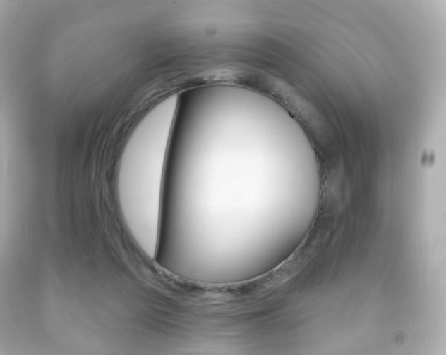 X0000091850209200709050942