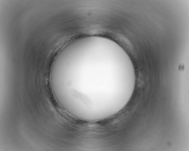 X0000091850210200709050942