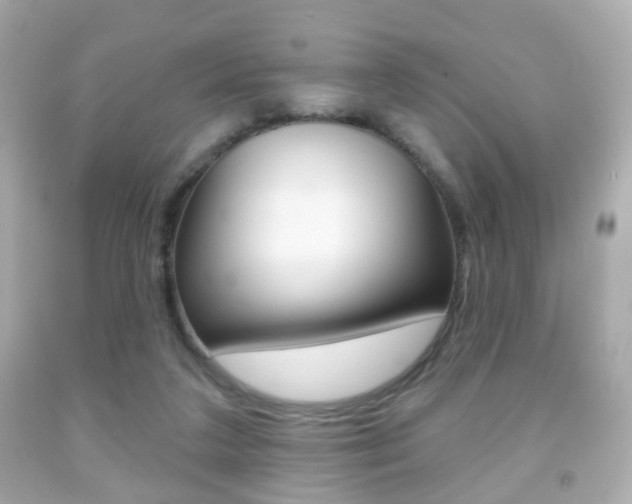 X0000091850211200709050942