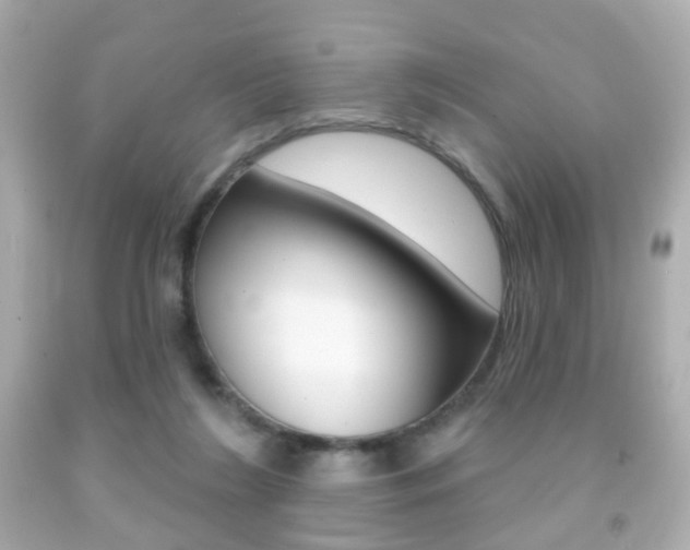 X0000091850212200709050942