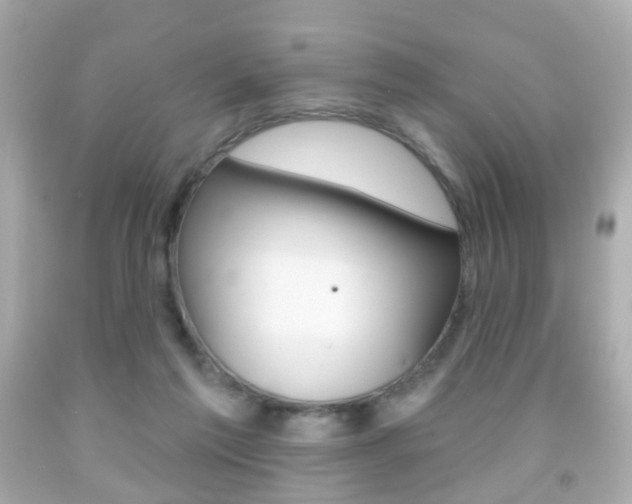 X0000091850213200709050942
