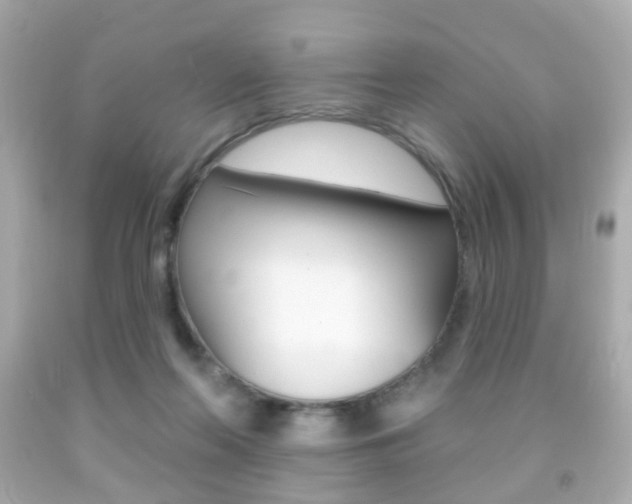 X0000091850214200709050942