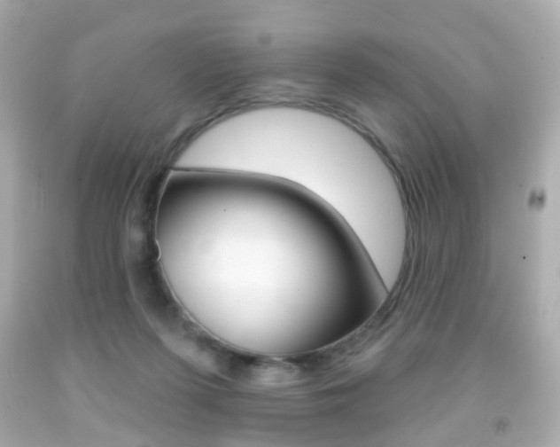 X0000091850215200709050942