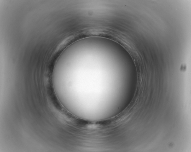 X0000091850216200709050942