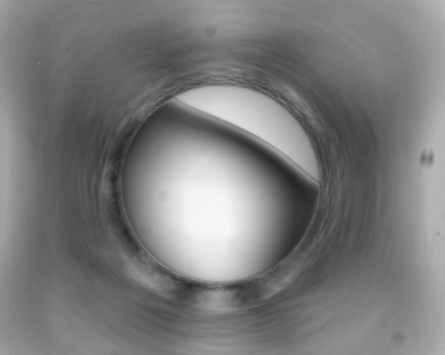X0000091850217200709050942