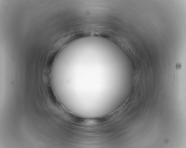 X0000091850218200709050942
