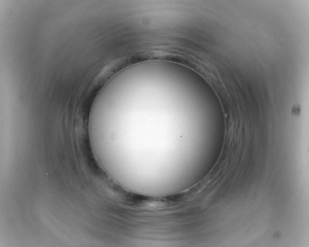 X0000091850220200709050942