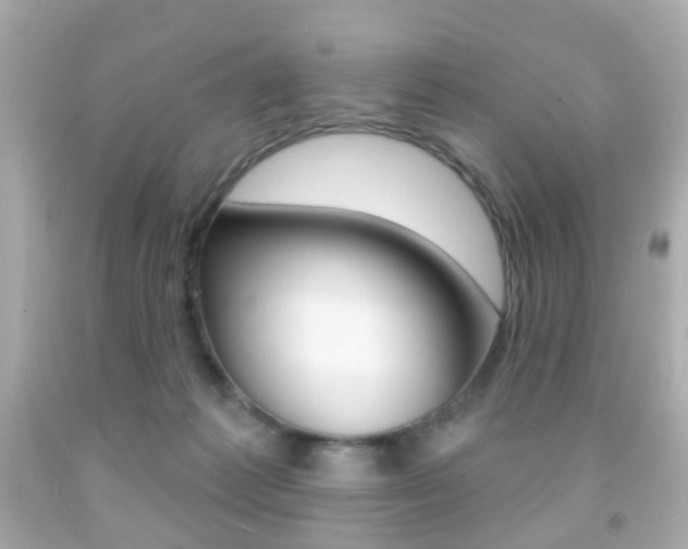 X0000091850221200709050942