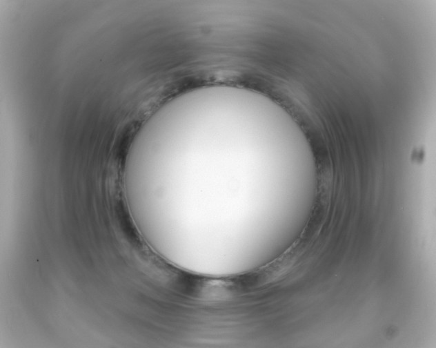 X0000091850222200709050942