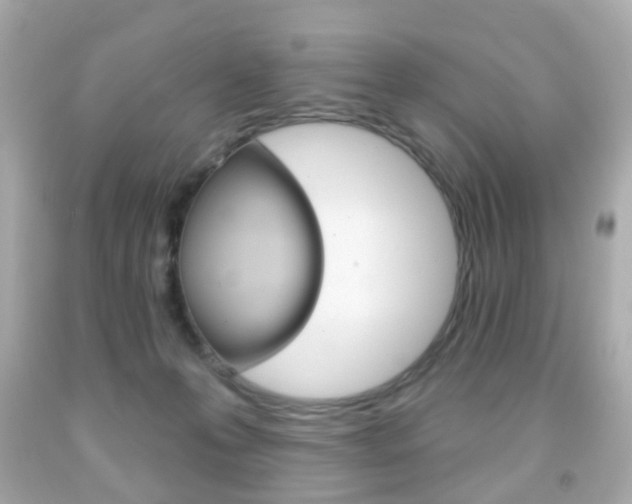 X0000091850223200709050942