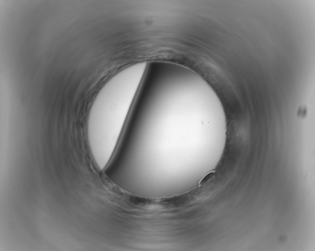 X0000091850224200709050942