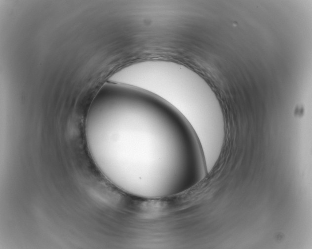 X0000091850225200709050942
