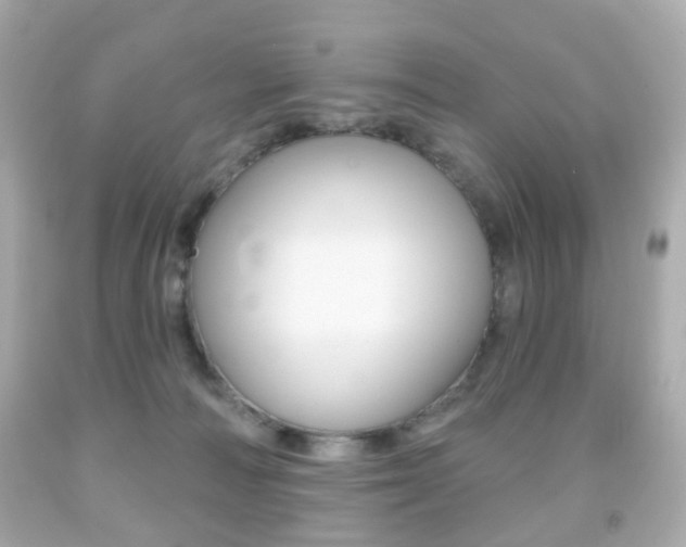 X0000091850226200709050942