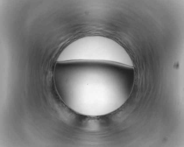X0000091850228200709050942