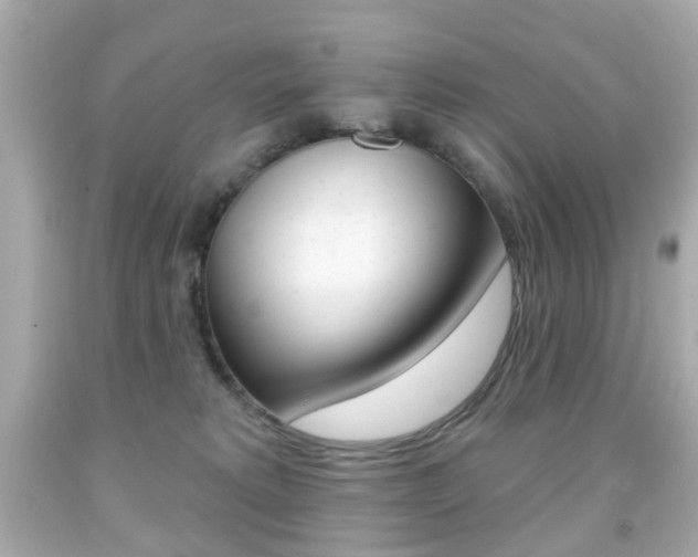 X0000091850229200709050942