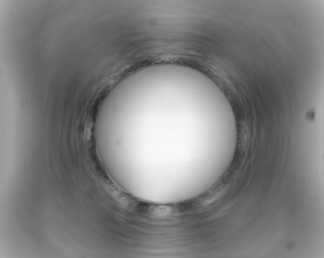 X0000091850230200709050942